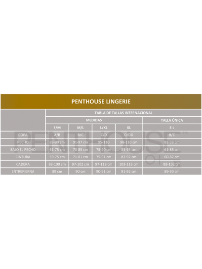 PENTHOUSE PEIGNOIR BEST FOREPLAY BLACK L/XL